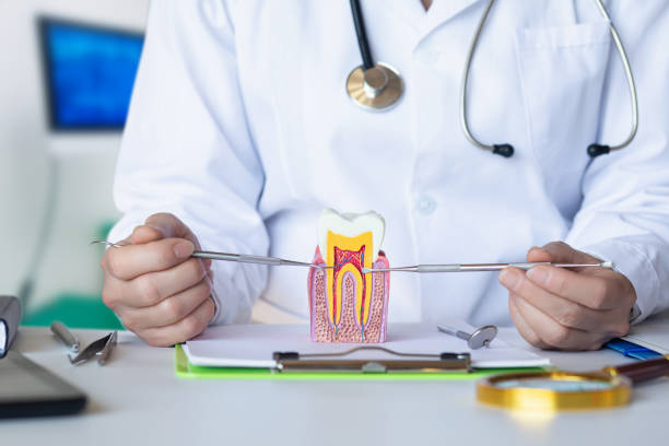 Best Emergency Broken Tooth Repair in Dunkirk, IN